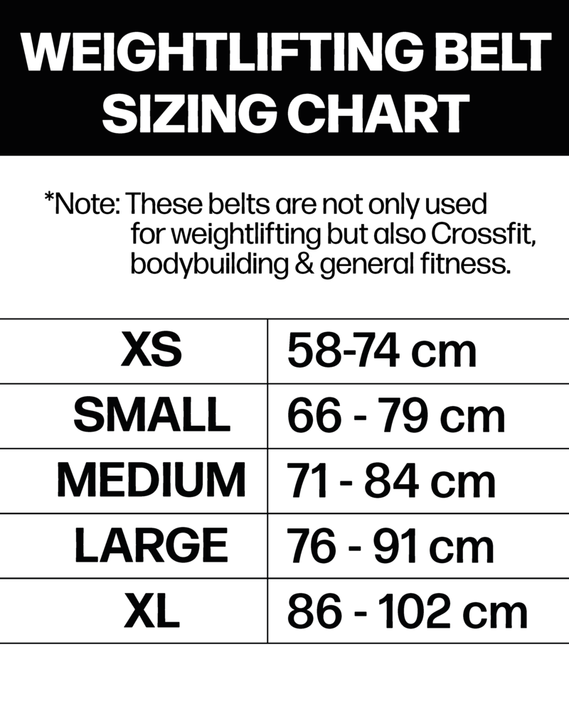 1.0 Disco Crossfit Belt - Purple